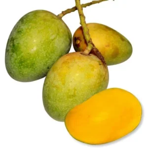 গোপালভোগ (12kg)