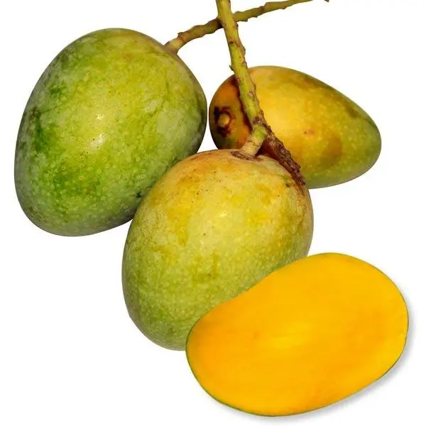 গোপালভোগ (12kg)