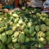 বারি – ১১ (22kg)